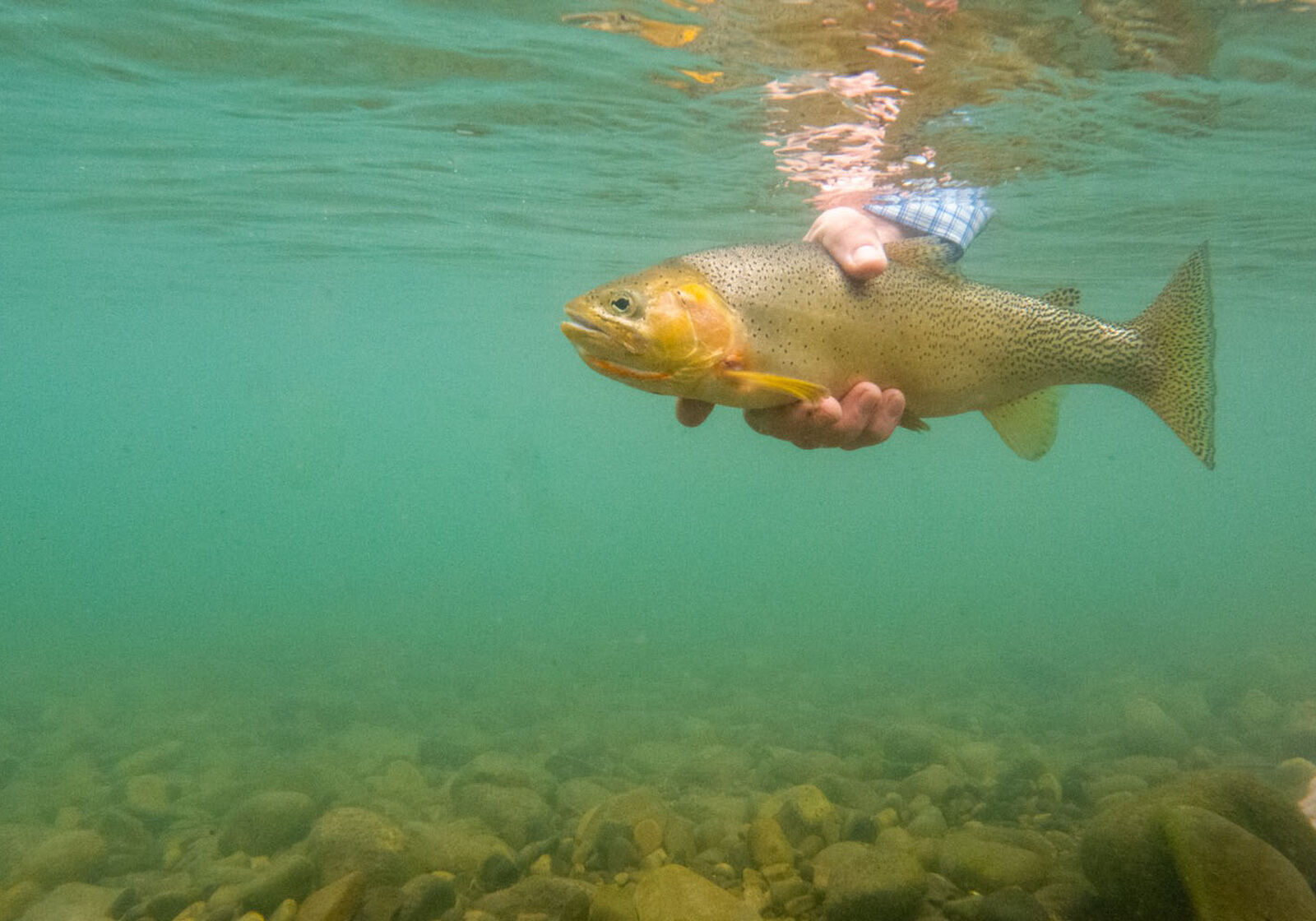 Brooks Creek Ranch fly fishing on clear British Columbia trout water