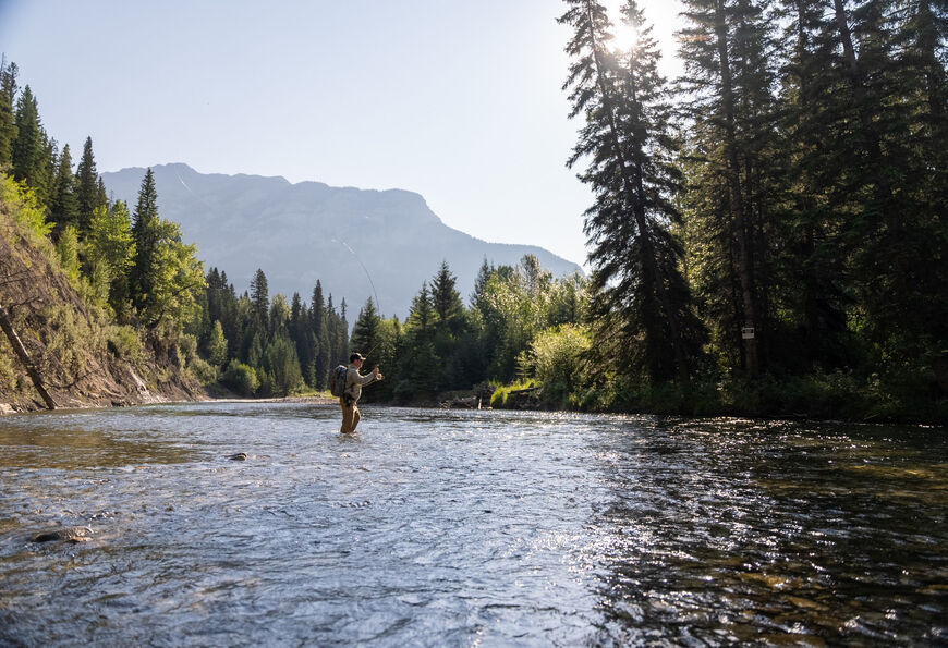 Fording River trout water near Fernie British Columbia