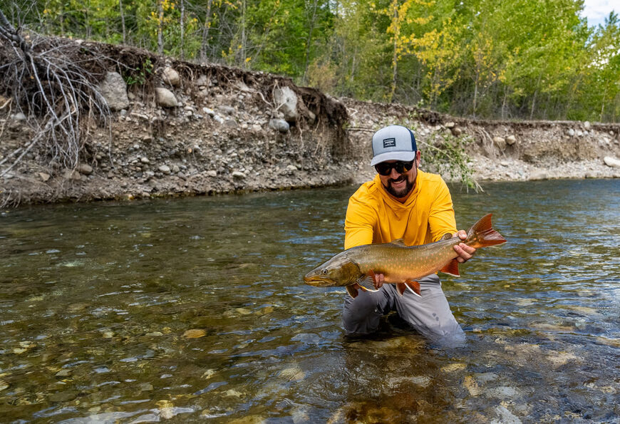 Wigwam River fly fishing water north of Fernie